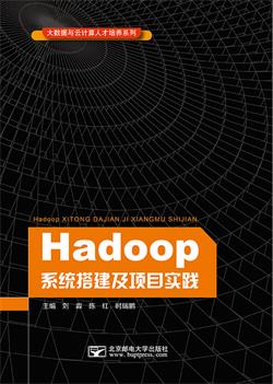 Hadoop系统搭建及项目实践